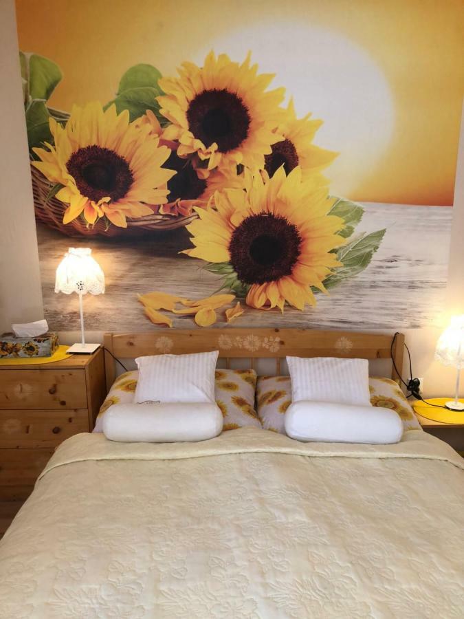 Stronie Śląskie Ranczo Frodyma B&B 외부 사진